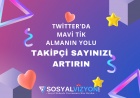 Twitter’da Mavi Tik Almanın Yolu: Takipçi Sayınızı Artırın